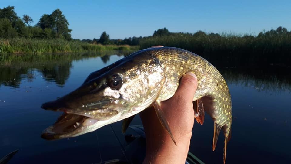 Gosciniec Pod Wegorzem * Olownik
